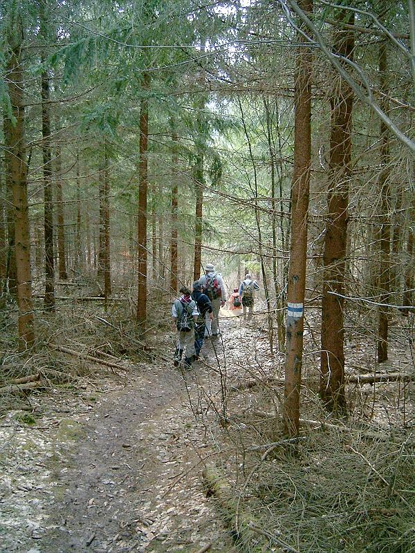 2010.03.20 053.jpg